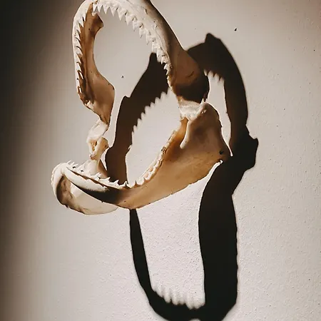 מלון דירות Skippers 4*